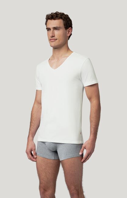 LEVIS MEN V-NECK 2P