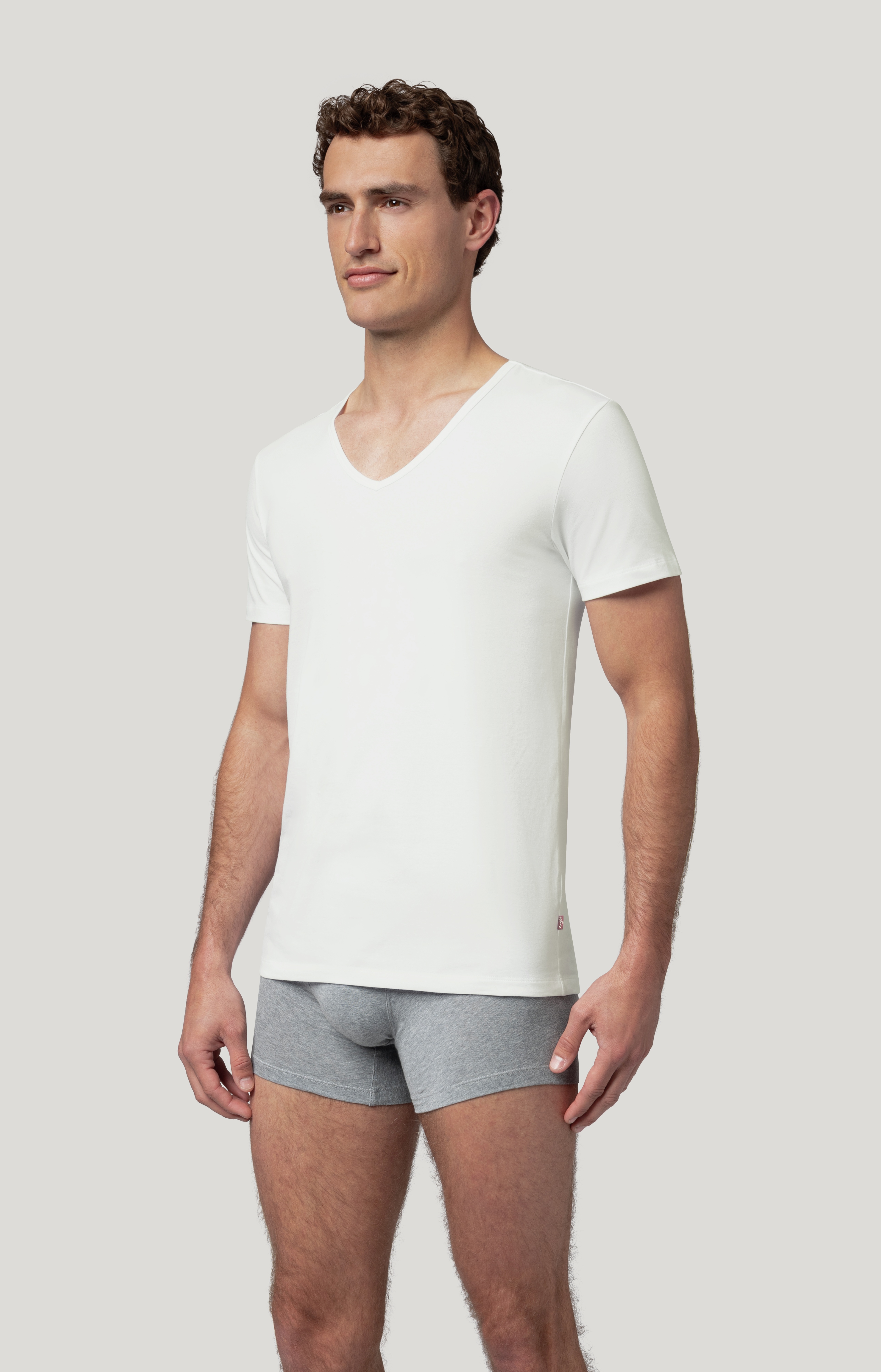 LEVIS MEN V-NECK 2P