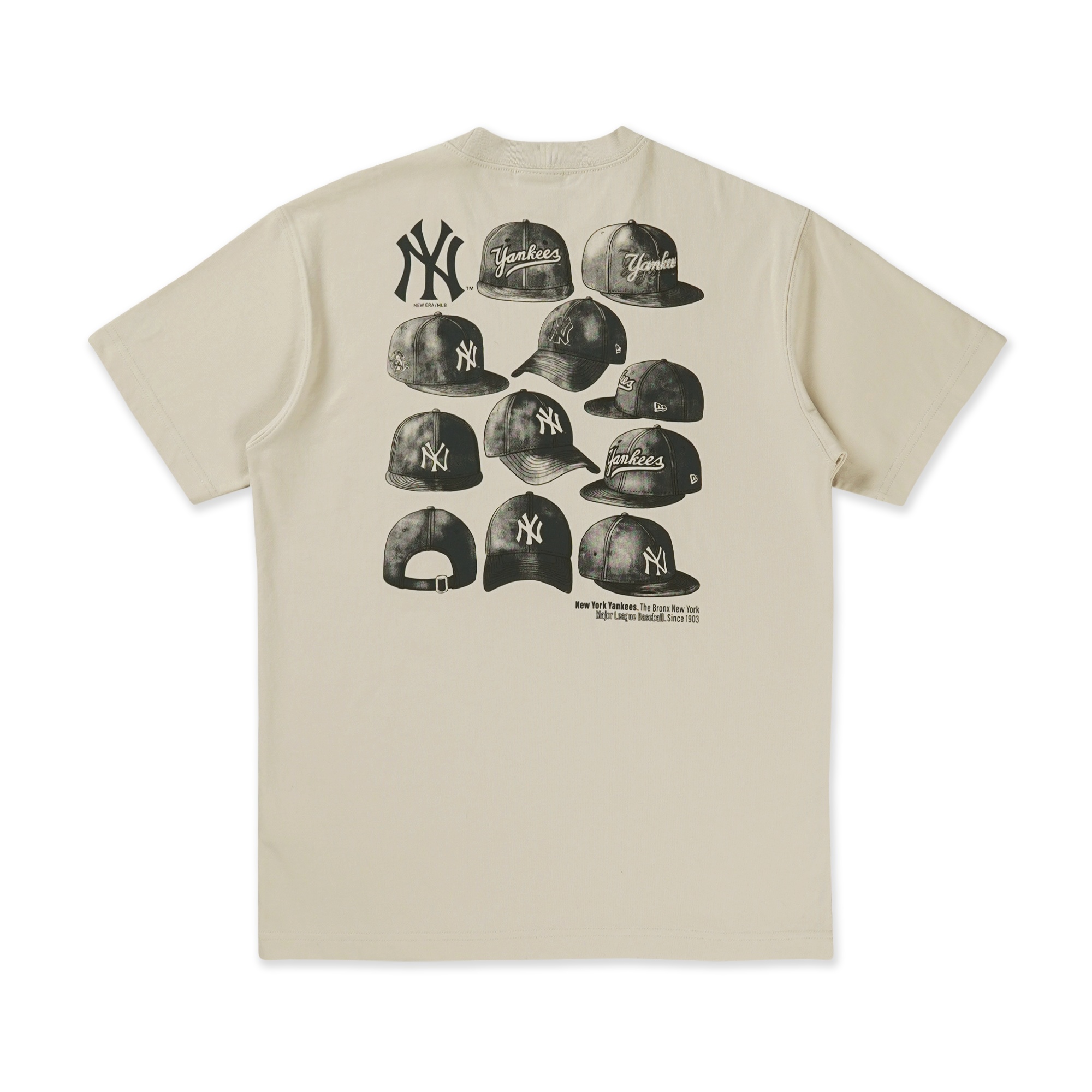 SS TEE CAP GRAPHIC NEYYAN VINTAGE STONE