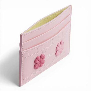 Dior card holder