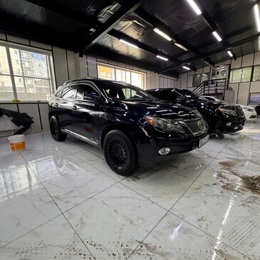 Lexus RX 450 2010/2021