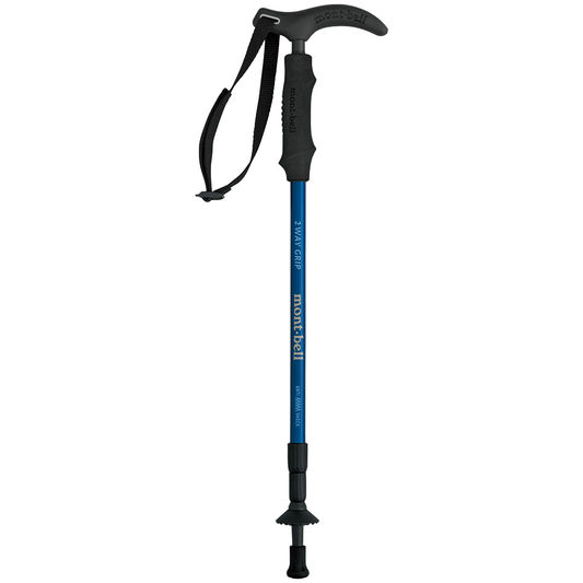 2-WAY GRIP CARBON POLE A SHOCK