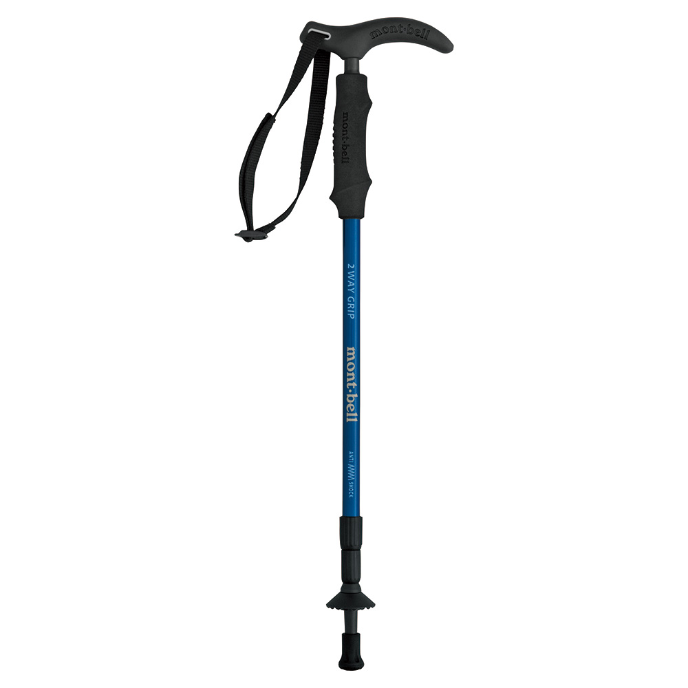 2-WAY GRIP CARBON POLE A SHOCK