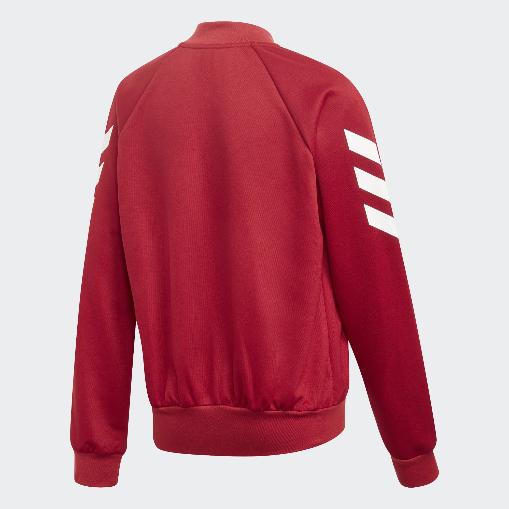 YG FR TS