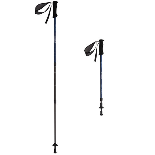 ALPINE CARBON POLE ANTI SHOCK