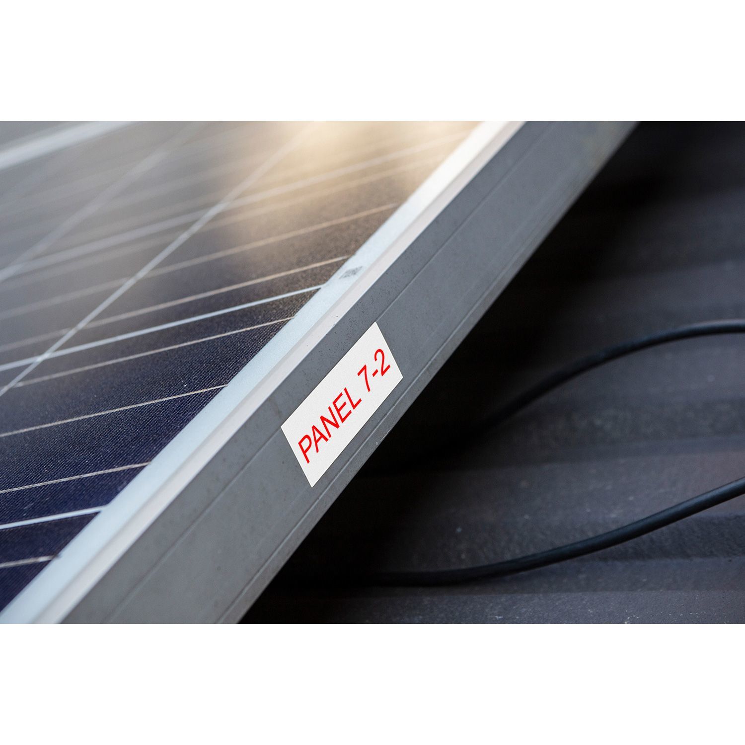 Brother шошго хэвлэгч цаас tze-262 /Red on White 36mm/