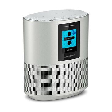 Bose Home Speaker 500 Silver /795345-4300/