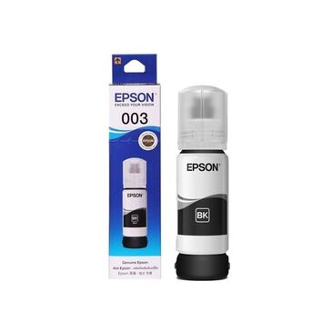 Epson T00V Ink