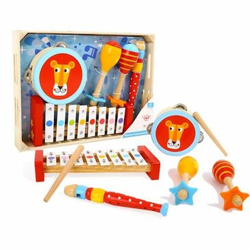 Musical Instrument Set