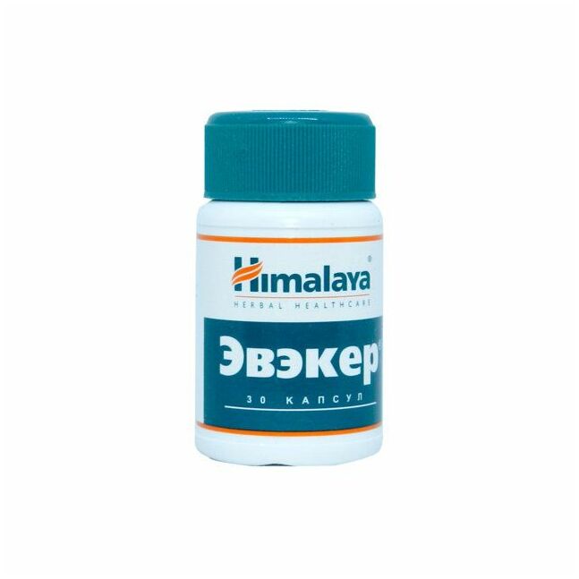 Эвэкер №30