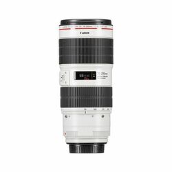 Canon EF 70-200mm f/2.8L IS III USM дуран