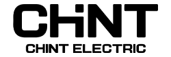 chint