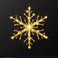 SNOW online shop