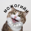 Можогийн мухлаг