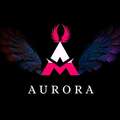 Aurora Light LLC